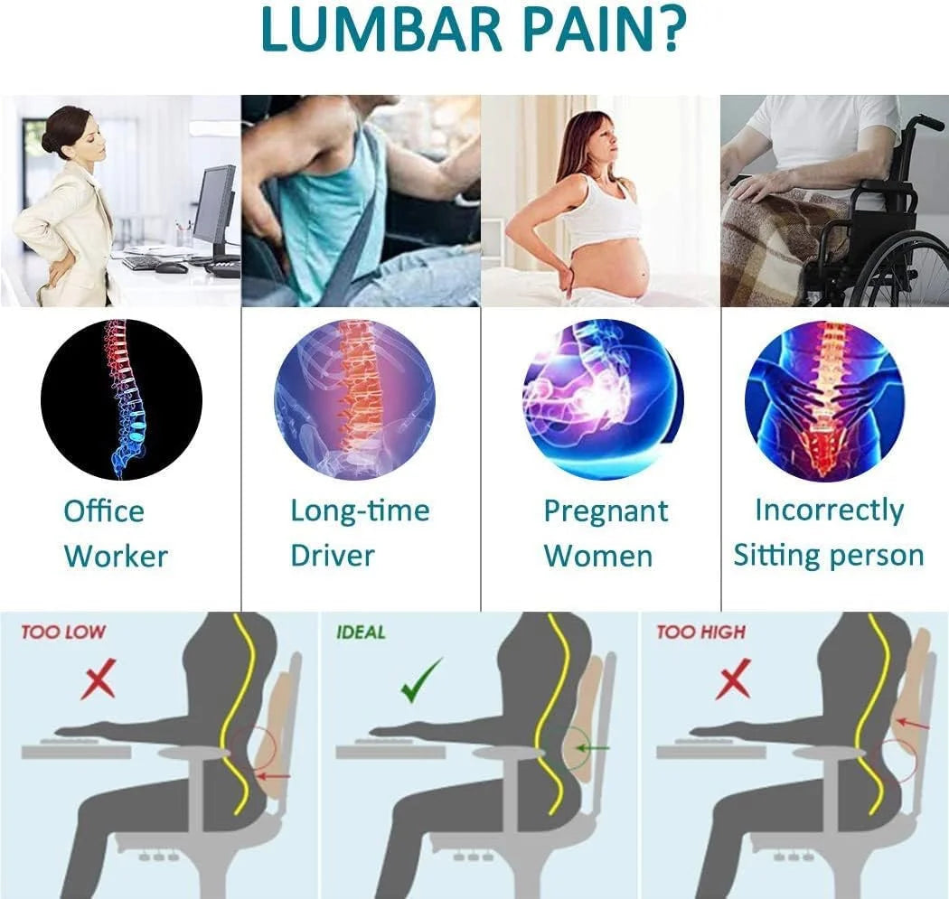 Ergonomic Lumbar Support Cushion for Office Chair & Car