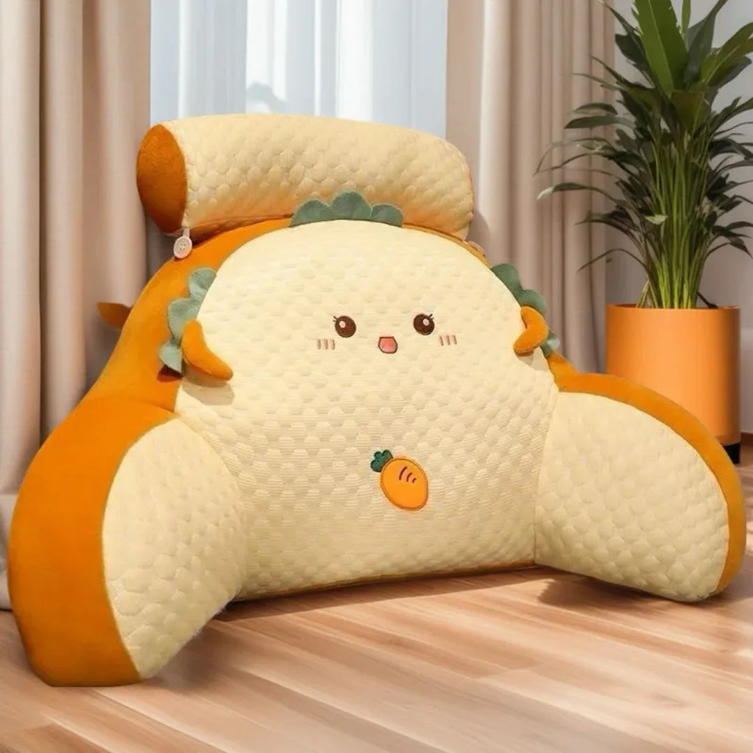 Ergonomic Back Support Pillow for Bed & Sofa