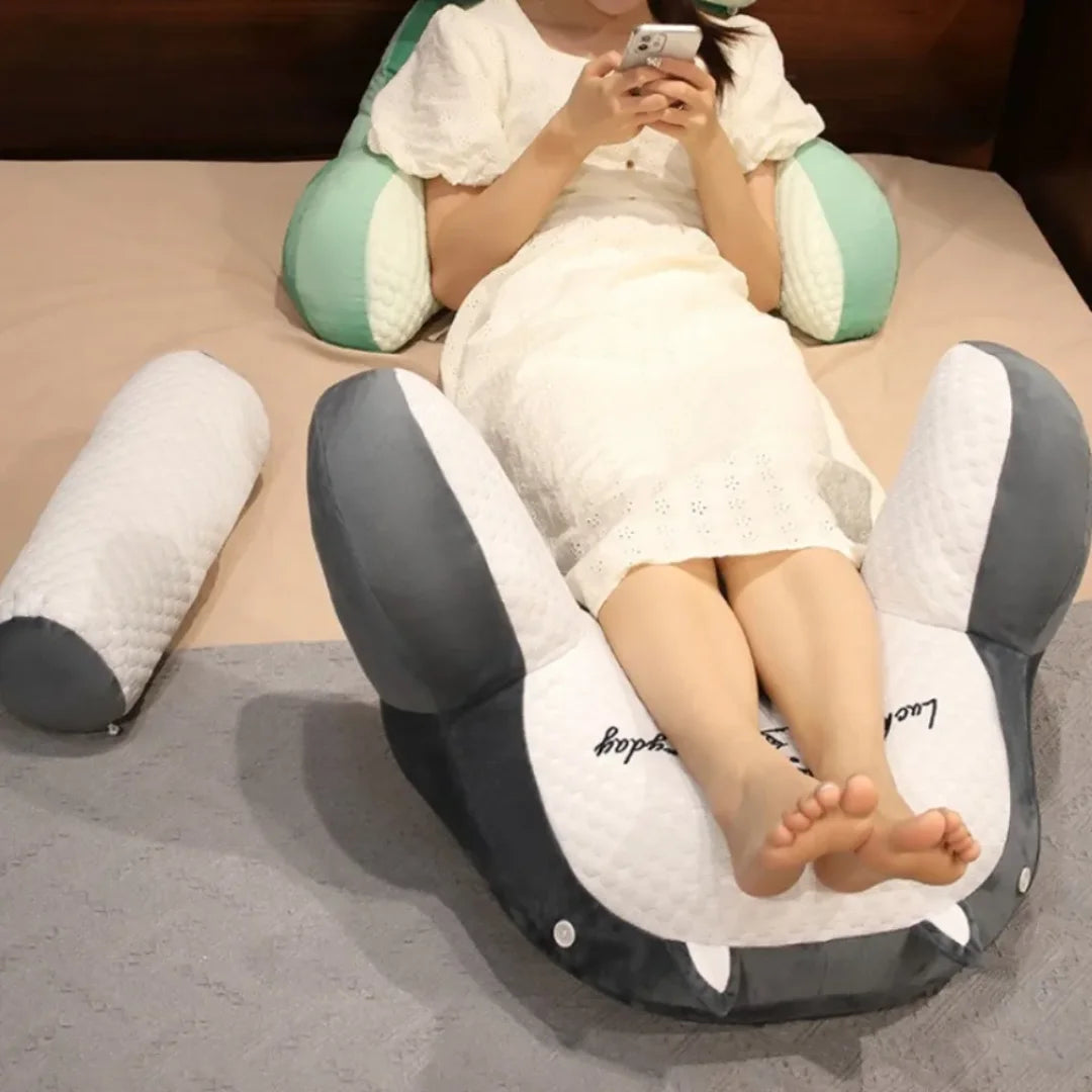Ergonomic Back Support Pillow for Bed & Sofa